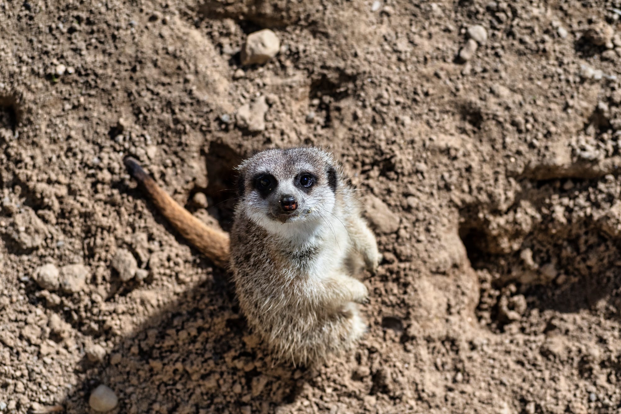 Ein Besuch im Zoo - tierische Eindrücke